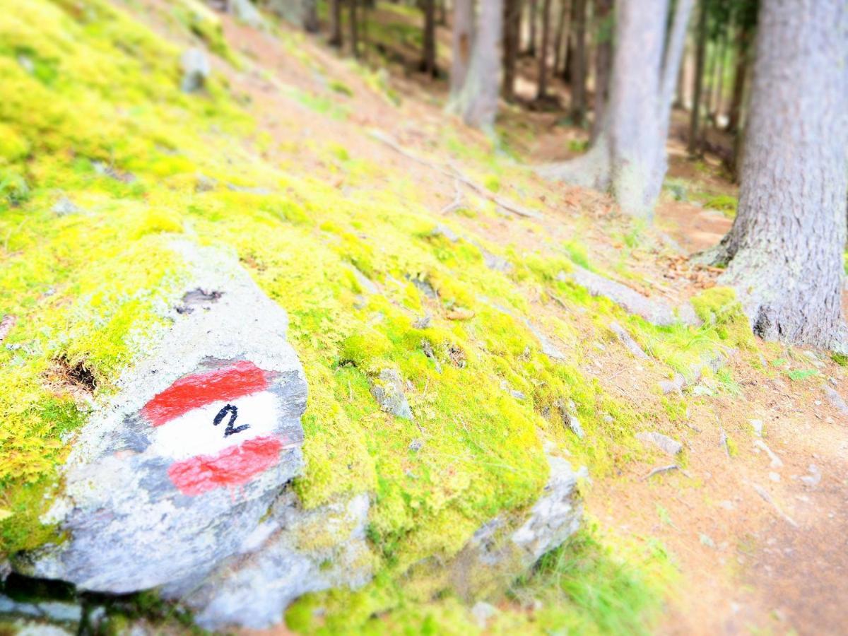 Feldgaertenhof 실란드로 외부 사진